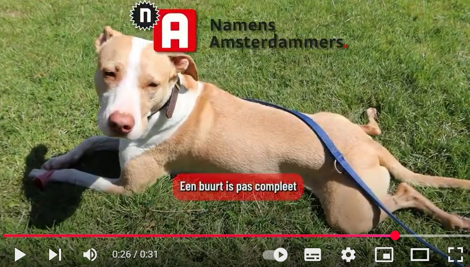 Wat zegt de buurt? Cruquiusbuurt