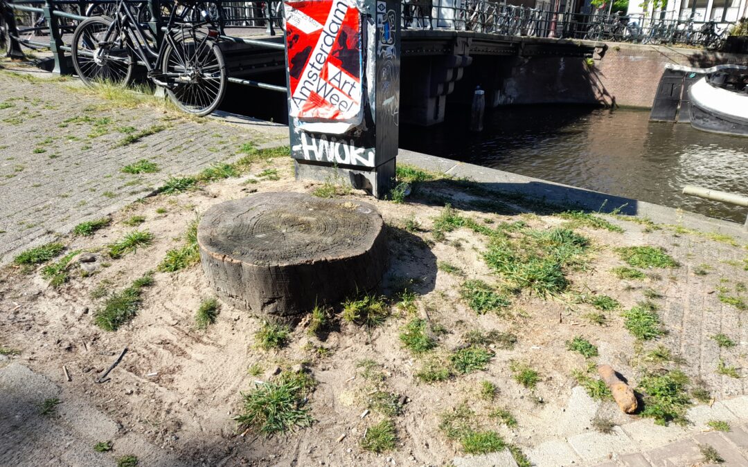 Groen college is slecht voor groen