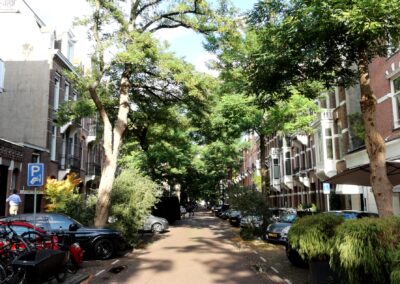Wat zegt de buurt? Cornelis Schuytstraat