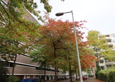 Wat zegt de buurt? Buitenveldert-Zuid