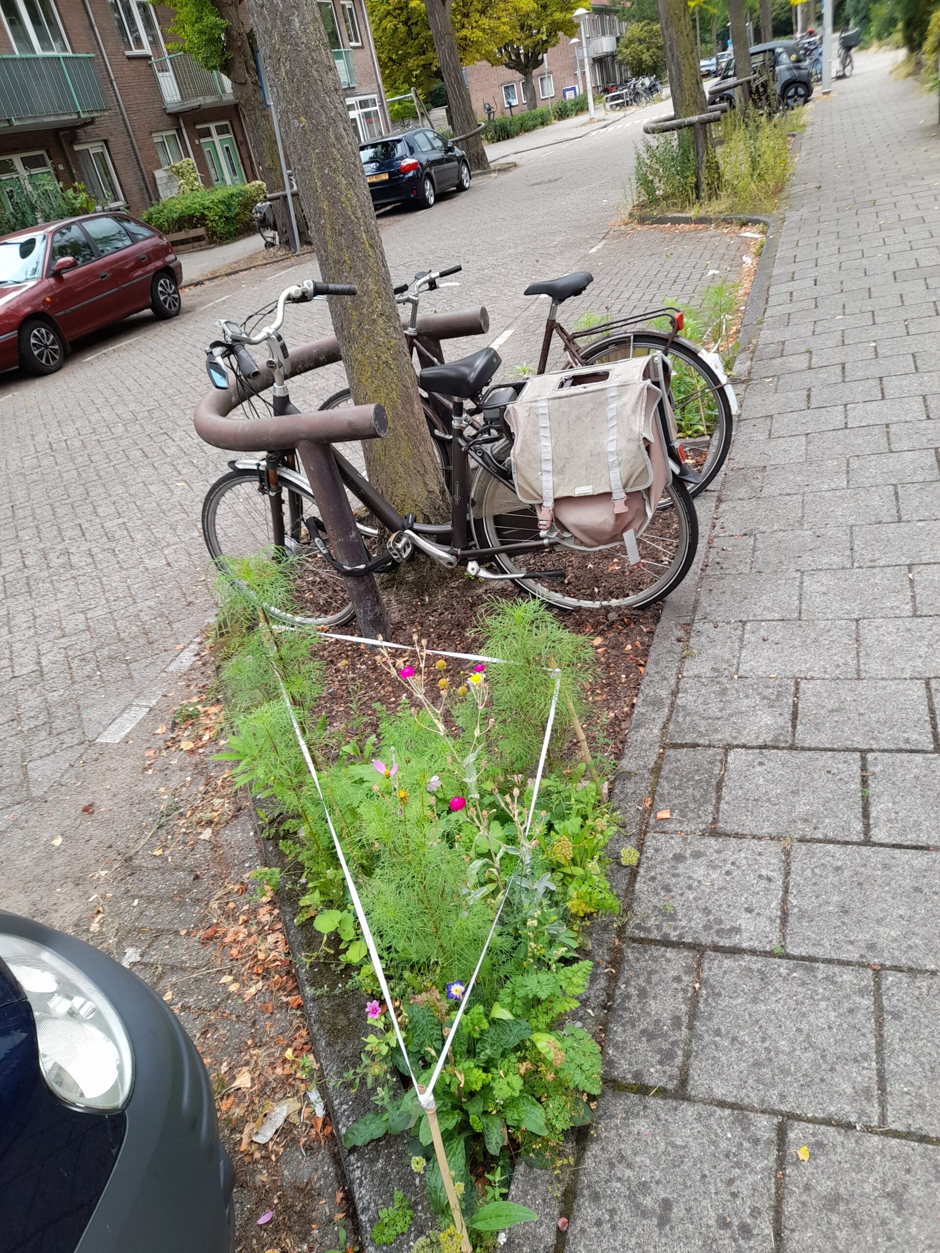 amsteldorp 8