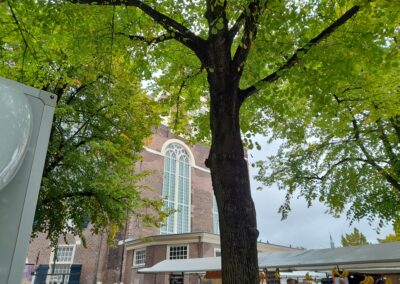 Wat zegt de buurt? Noordermarkt